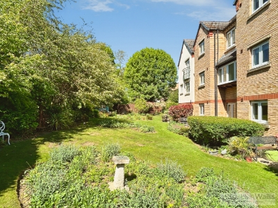 Picture 8